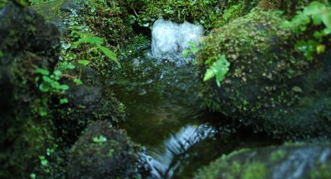 杜々の森イメージ